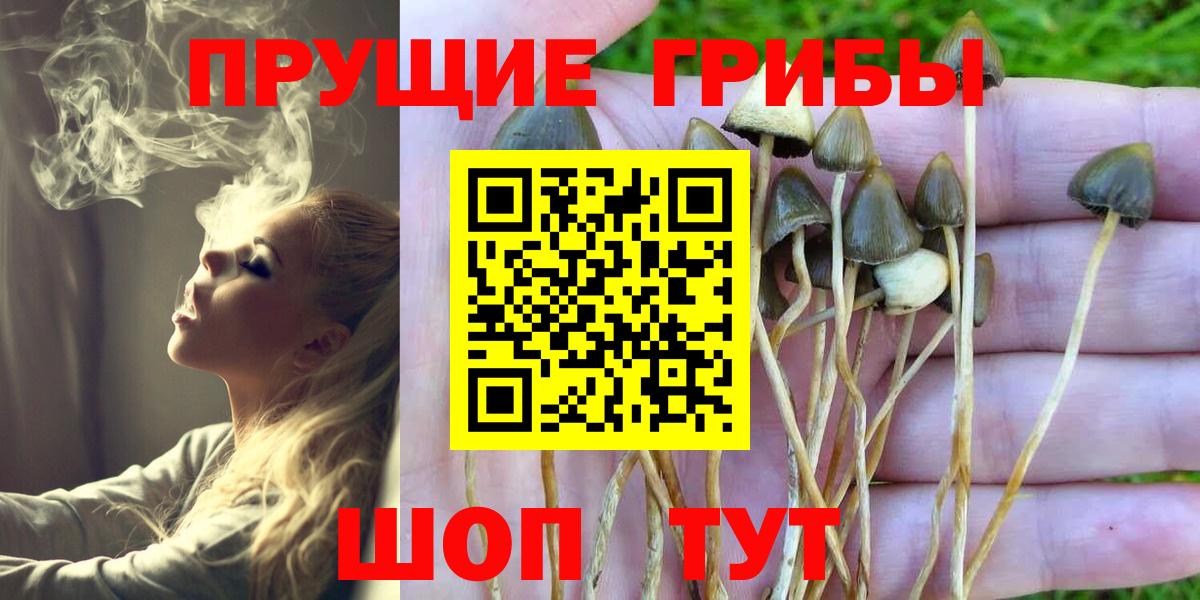 Псилоцибиновые грибы мухоморы Одинцово