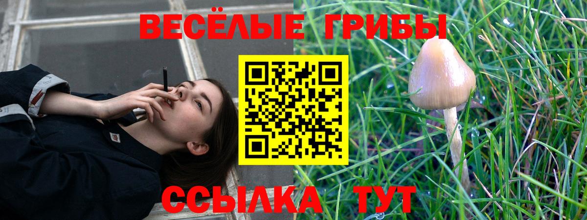 Псилоцибиновые грибы Psilocybe  Вход с VPN  Псилоцибиновые грибы MAGIC MUSHROOMS  Одинцово 